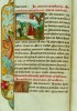 Fonds de la Socit archologique 5 - vangliaire  l'usage de l'abbaye de Saint-Grard de Brogne - Baptme du Christ - f. 14v - ©Muse Provincial des Arts anciens du Namurois